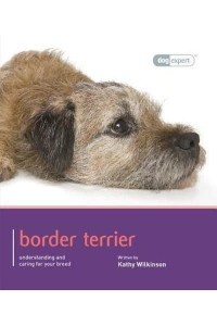 Border Terrier - Dog Expert