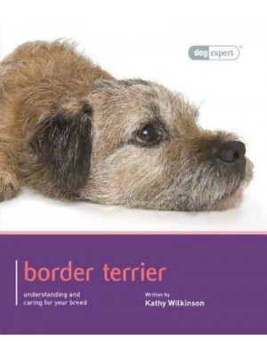 Border Terrier - Dog Expert
