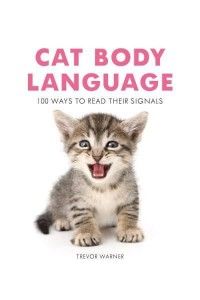 Cat Body Language 100 Ways to Read Their Signals