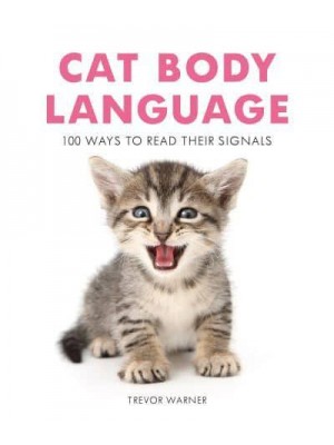 Cat Body Language 100 Ways to Read Their Signals