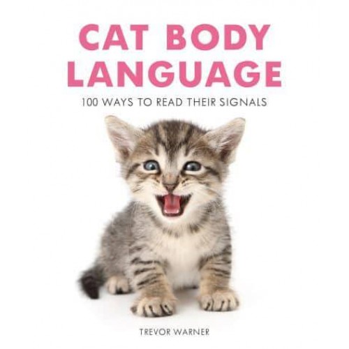 Cat Body Language 100 Ways to Read Their Signals