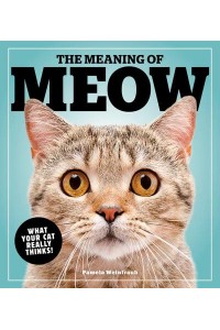 The Meaning Of Meow What Your Cat Really Thinks!