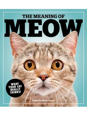 The Meaning Of Meow What Your Cat Really Thinks!