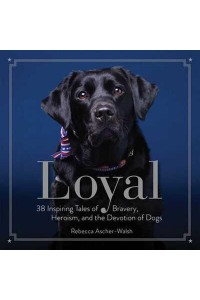 Loyal 38 Inspiring Tales of Bravery, Heroism, and the Devotion of Dogs