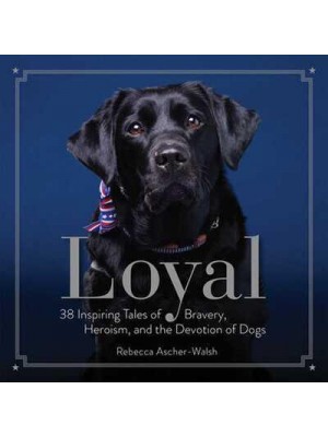 Loyal 38 Inspiring Tales of Bravery, Heroism, and the Devotion of Dogs
