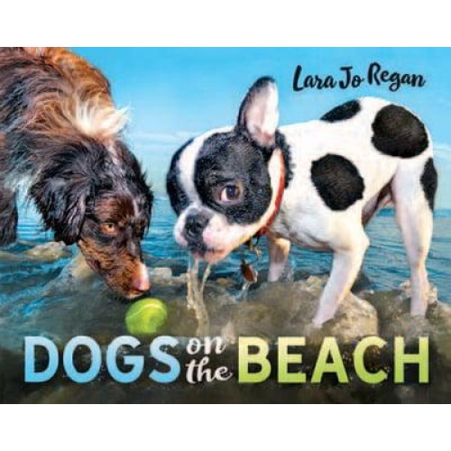 Dogs on the Beach