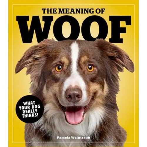 The Meaning Of Woof What Your Dog Really Thinks!
