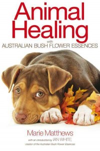 Animal Healing With Australian Bush Flower Essences