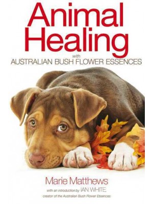 Animal Healing With Australian Bush Flower Essences