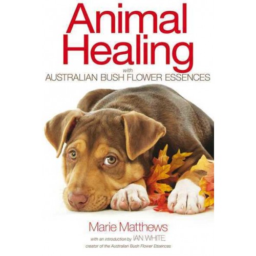 Animal Healing With Australian Bush Flower Essences