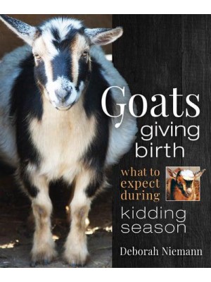Goats Giving Birth What to Expect During Kidding Season