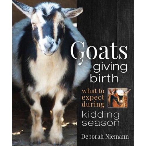 Goats Giving Birth What to Expect During Kidding Season