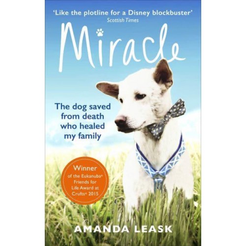 Miracle The Extraordinary Dog That Refused to Die
