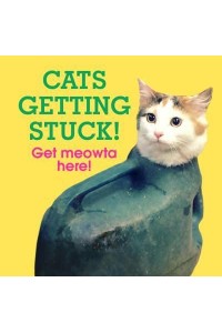 Cats Getting Stuck! Get Meowta Here!