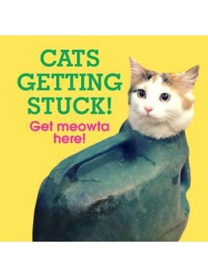 Cats Getting Stuck! Get Meowta Here!