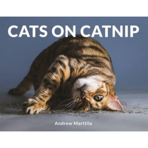 Cats on Catnip