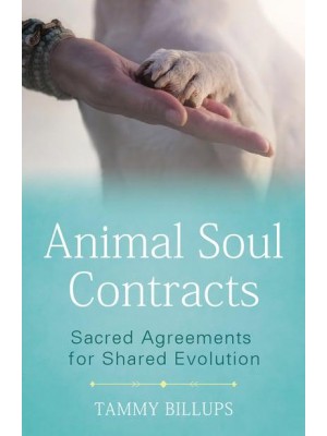 Animal Soul Contracts Sacred Agreements for Shared Evolution