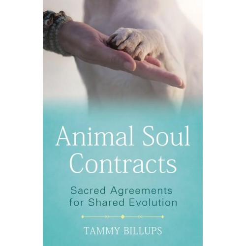 Animal Soul Contracts Sacred Agreements for Shared Evolution