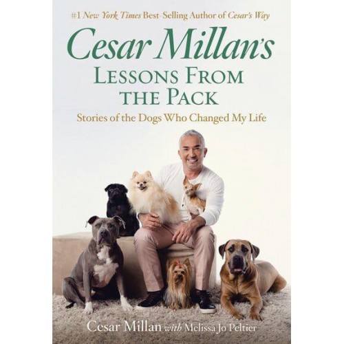 Cesar Millan's Lessons From the Pack Stories of the Dogs Who Changed My Life