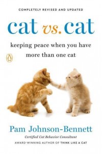 Cat Vs. Cat Keeping Peace When You Have More Than One Cat
