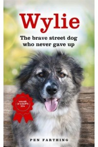 Wylie The Brave Street Dog Who Never Gave Up