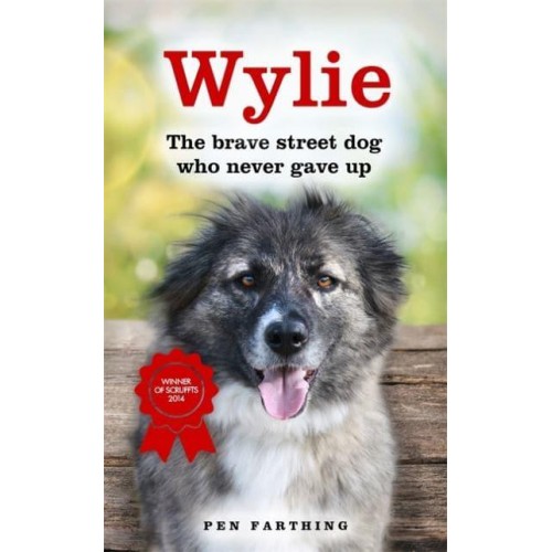 Wylie The Brave Street Dog Who Never Gave Up