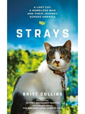 Strays The True Story of a Lost Cat, a Homeless Man and Their Journey Across America