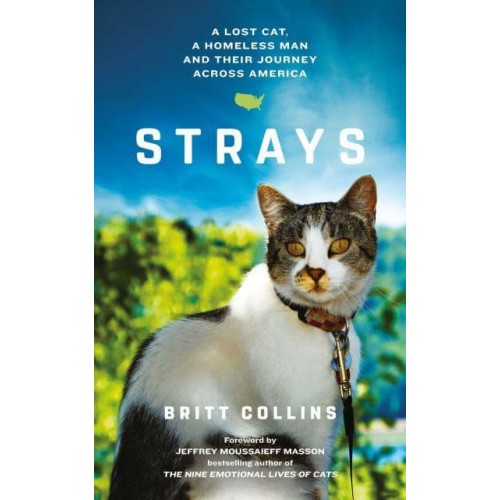 Strays The True Story of a Lost Cat, a Homeless Man and Their Journey Across America