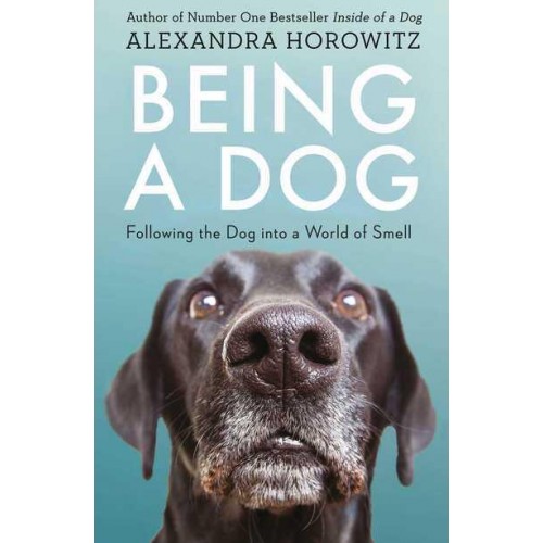 Being a Dog Following the Dog Into a World of Smell