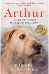 Arthur The Dog Who Crossed the Jungle to Find a Home