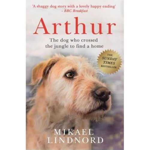 Arthur The Dog Who Crossed the Jungle to Find a Home