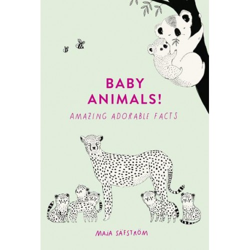 Baby Animals! Amazing Adorable Facts