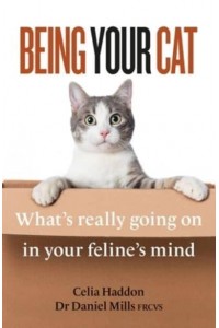 Being Your Cat Inside Your Feline's Mind