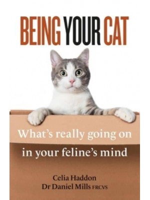 Being Your Cat Inside Your Feline's Mind