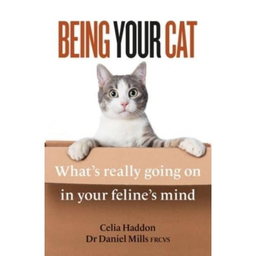 Being Your Cat Inside Your Feline's Mind