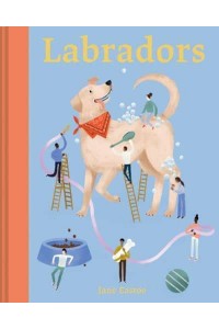 Labradors
