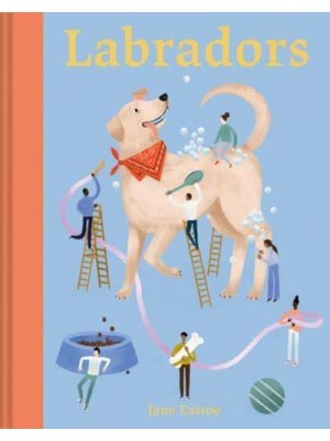 Labradors