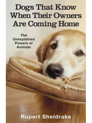 Dogs That Know When Their Owners Are Coming Home And Other Unexplained Powers of Animals