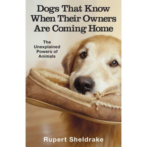Dogs That Know When Their Owners Are Coming Home And Other Unexplained Powers of Animals