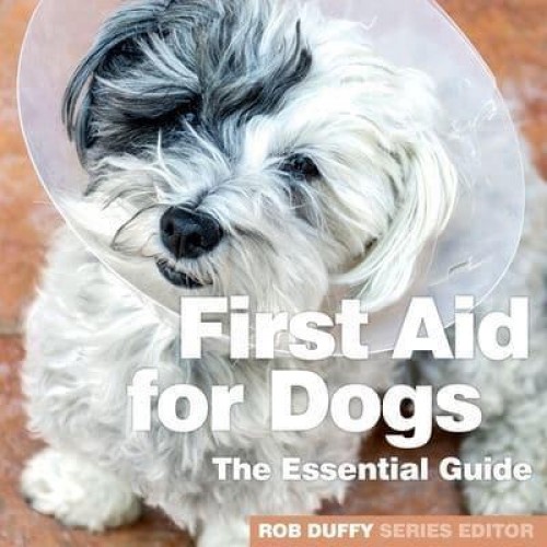 First Aid for Dogs The Essential Guide