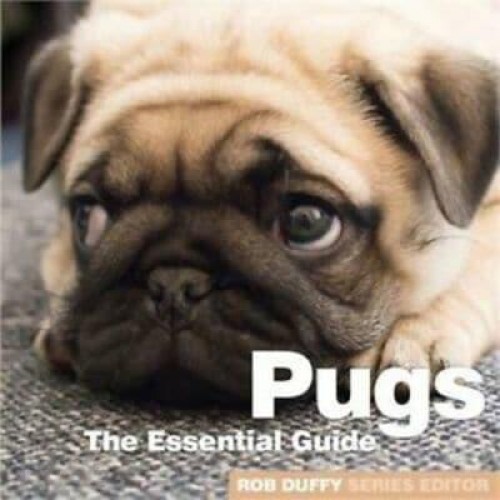 Pugs The Essential Guide