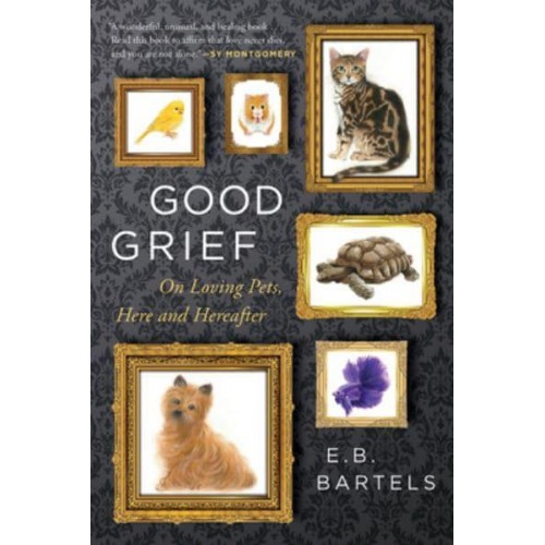 Good Grief On Loving Pets, Here and Hereafter