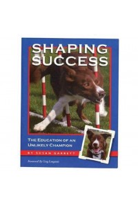 Shaping Success