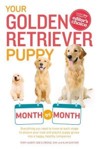 Your Golden Retriever Puppy Month by Month - Your Puppy Month by Month