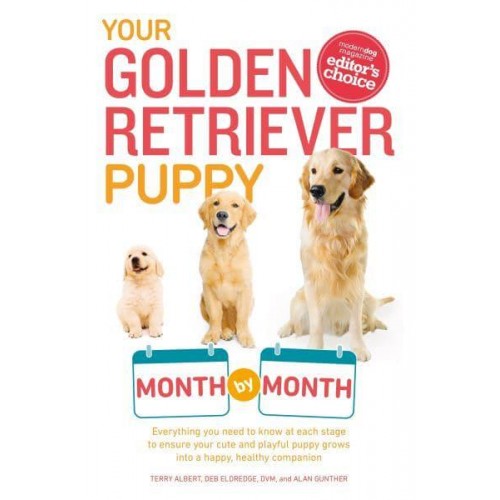 Your Golden Retriever Puppy Month by Month - Your Puppy Month by Month
