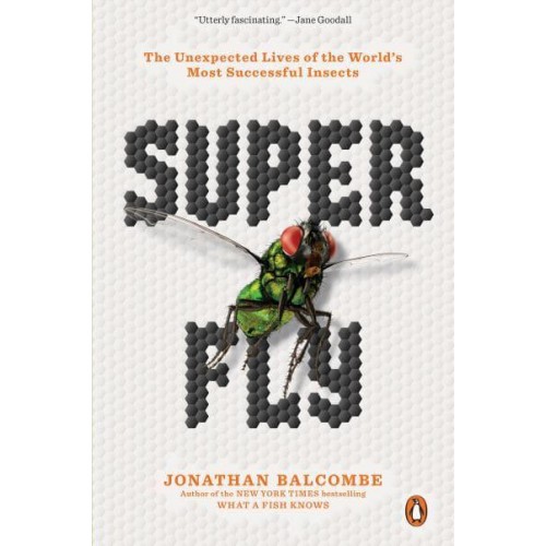 Super Fly The Unexpected Lives of the World's Most Successful Insects
