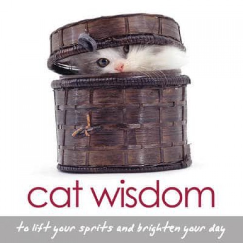 Cat Wisdom To Lift Your Spirits and Brighten Your Day