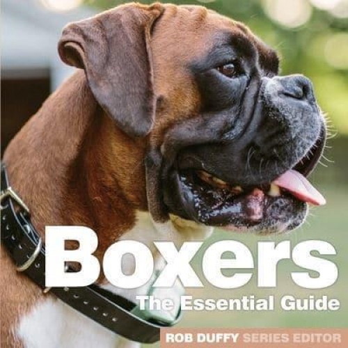 Boxers The Essential Guide - Need2know Essential Guides