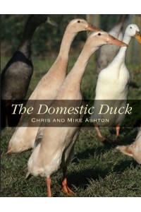 The Domestic Duck
