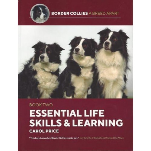 Life Skills and Learning - Border Collies: A Breed Apart
